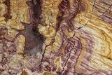 Colorful Polished Nevada Wonderstone Slab #358844-1